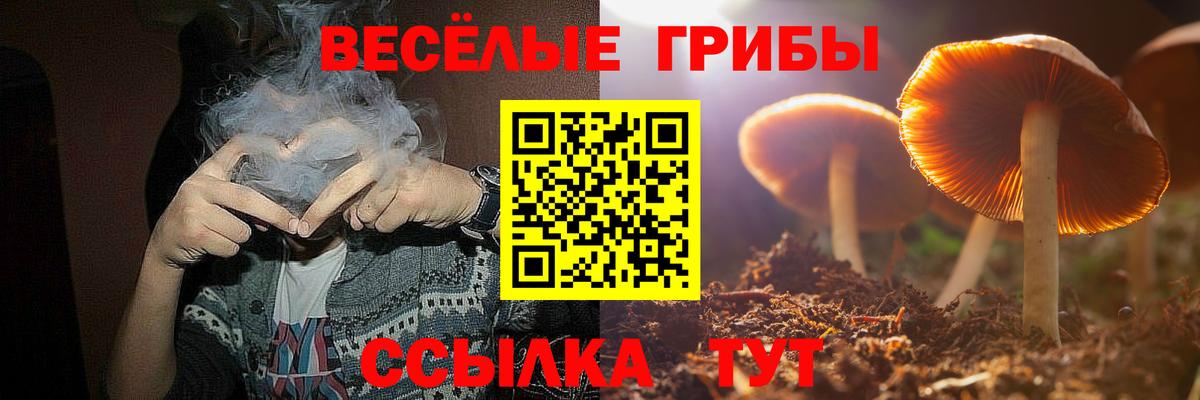 Галлюциногенные грибы прущие грибы Можга